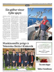 Síða 17
