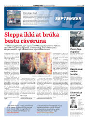 Síða 51