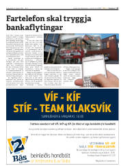 Síða 17
