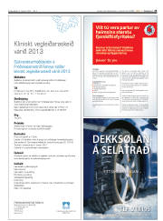Síða 25