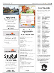 Síða 27