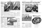 Síða 4