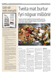 Síða 4