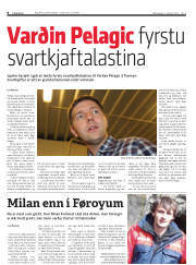 Síða 8