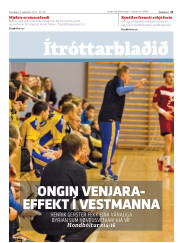 Síða 11