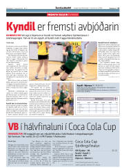 Síða 17
