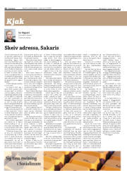 Síða 22