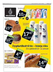 Síða 3