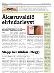 Síða 12