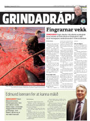 Síða 17