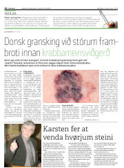 Síða 18