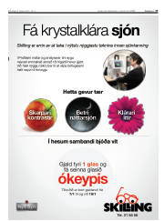 Síða 33