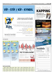 Síða 43