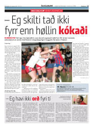 Síða 15