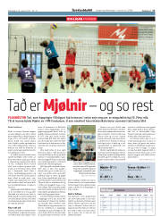 Síða 17