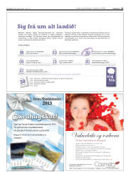 Síða 27