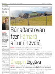 Síða 8