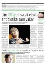Síða 12