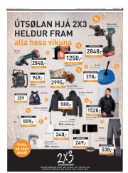 Síða 13