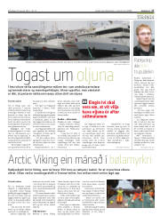Síða 17