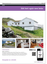 Síða 21