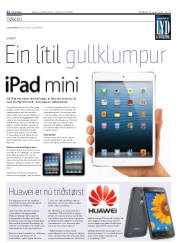 Síða 22