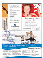 Síða 25