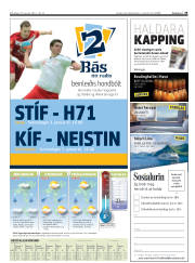 Síða 35