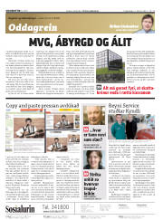 Síða 2