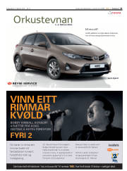 Síða 31