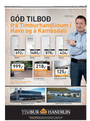 Síða 35