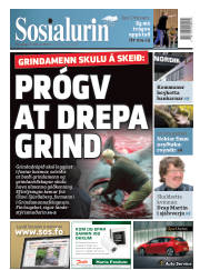 Síða 1