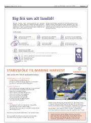 Síða 3