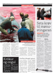 Síða 5