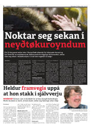 Síða 8