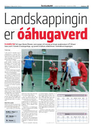 Síða 13