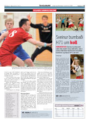 Síða 15