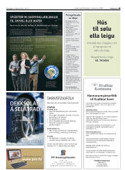 Síða 29