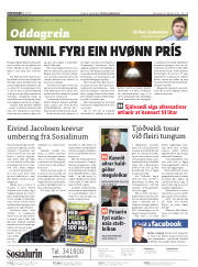 Síða 2