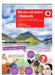 Síða 6