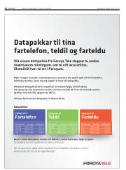 Síða 18
