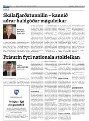 Síða 20