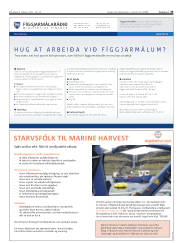 Síða 33