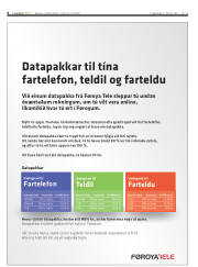 Síða 8