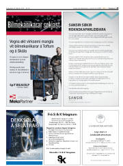 Síða 29