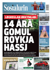 Síða 1