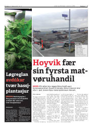Síða 7