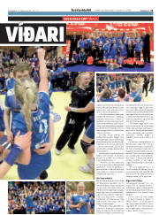 Síða 15