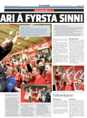 Síða 17