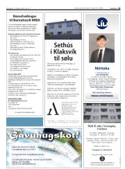 Síða 29
